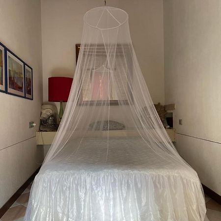 ונציה In A Lovely Garden Biennale Flat מראה חיצוני תמונה